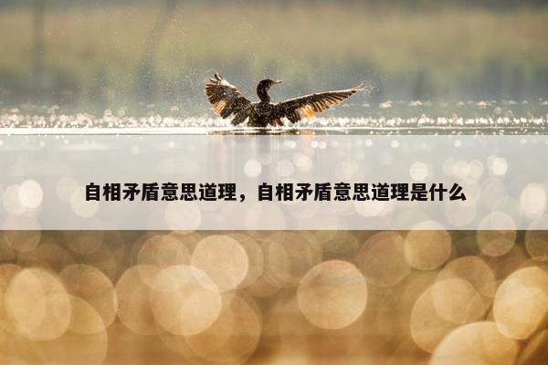 自相矛盾意思道理，自相矛盾意思道理是什么