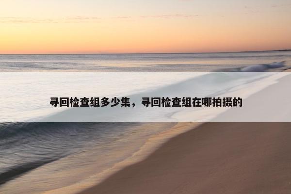 寻回检查组多少集，寻回检查组在哪拍摄的