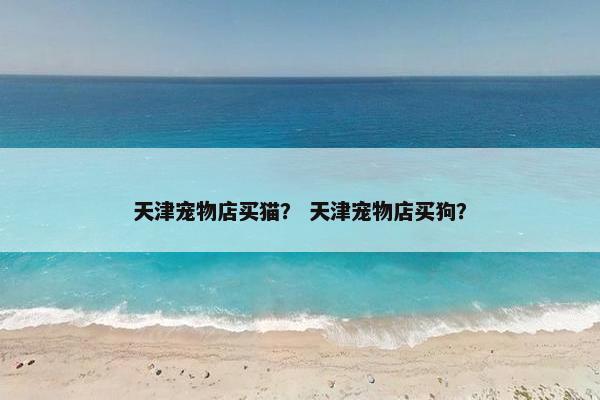 天津宠物店买猫？ 天津宠物店买狗？