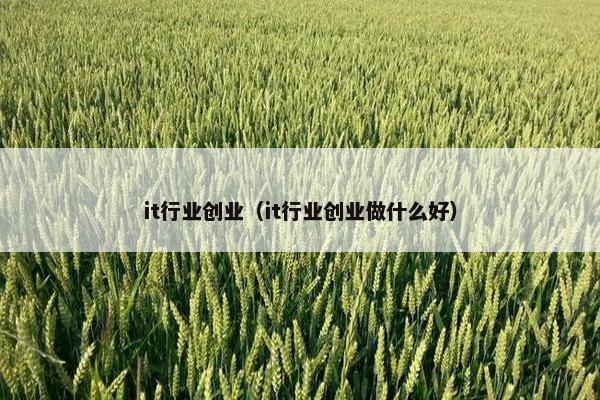 it行业创业（it行业创业做什么好）