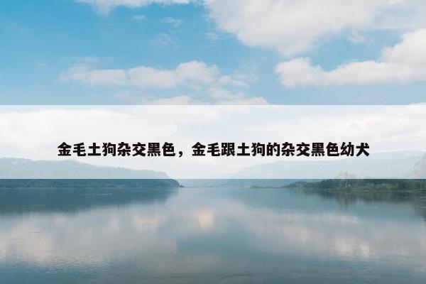 金毛土狗杂交黑色，金毛跟土狗的杂交黑色幼犬