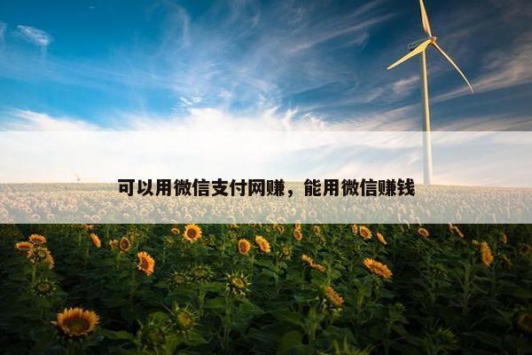 可以用微信支付网赚,能用微信赚钱 可以用微信支付网赚,能用微信赚钱