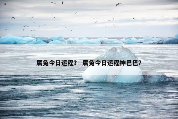 属兔今日运程？ 属兔今日运程神巴巴？