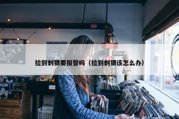 捡到刺猬要报警吗（捡到刺猬该怎么办）