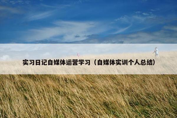 实习日记自媒体运营学习（自媒体实训个人总结）