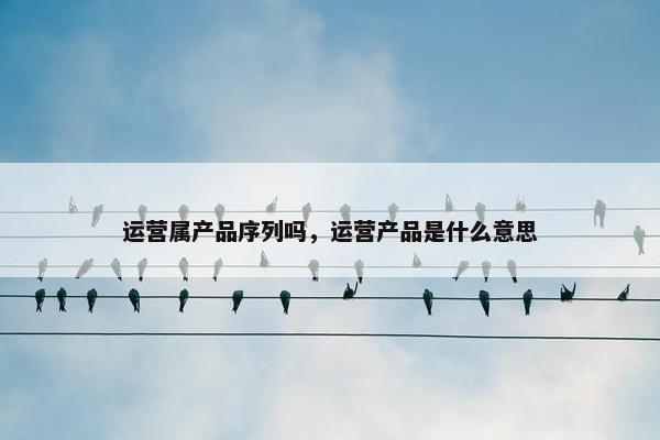 运营属产品序列吗，运营产品是什么意思