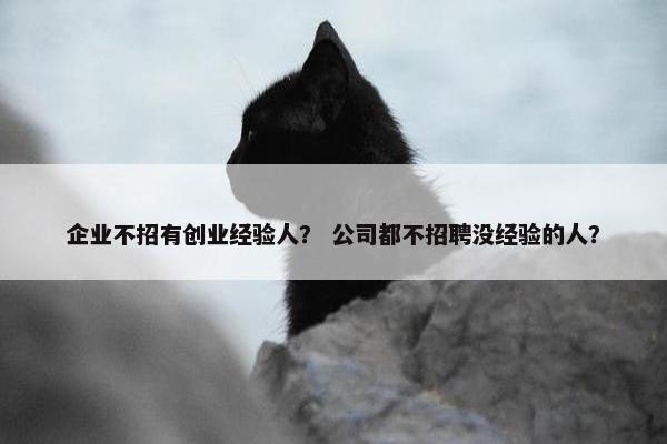 企业不招有创业经验人？ 公司都不招聘没经验的人？