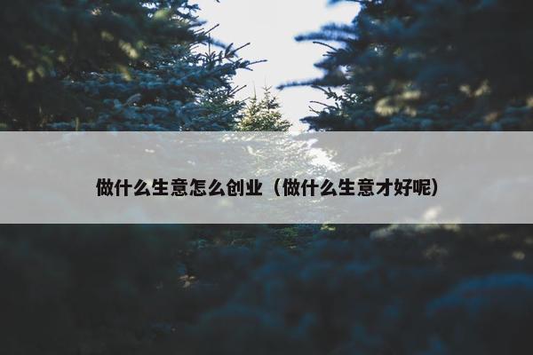 做什么生意怎么创业（做什么生意才好呢）