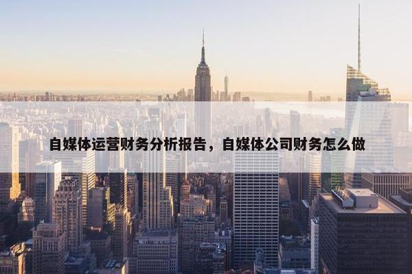 自媒体运营财务分析报告，自媒体公司财务怎么做