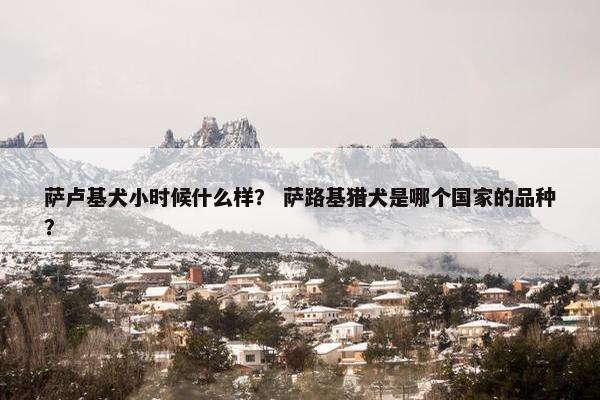 萨卢基犬小时候什么样？ 萨路基猎犬是哪个国家的品种？