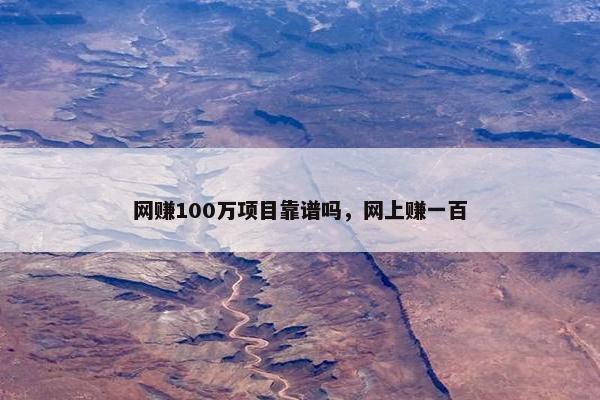 网赚100万项目靠谱吗，网上赚一百