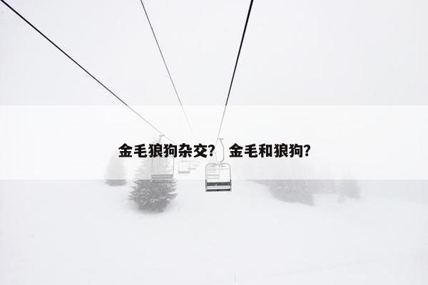 金毛狼狗杂交？ 金毛和狼狗？