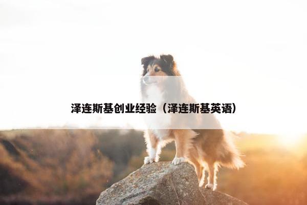 泽连斯基创业经验（泽连斯基英语）