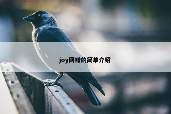 joy网赚的简单介绍