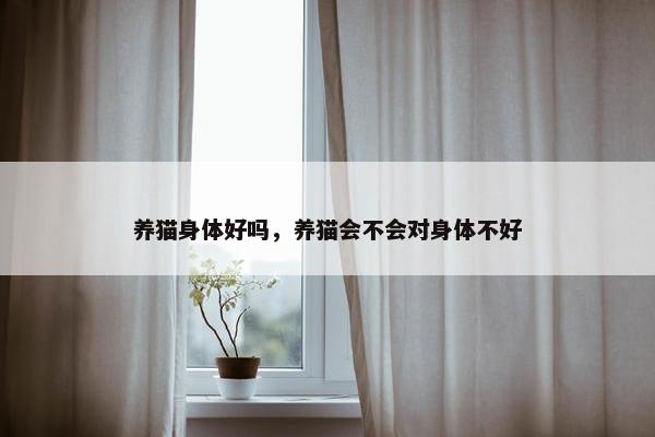 养猫身体好吗，养猫会不会对身体不好