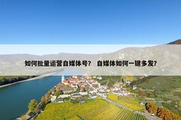 如何批量运营自媒体号？ 自媒体如何一键多发？