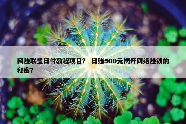 网赚联盟日付教程项目？ 日赚500元揭开网络赚钱的秘密？