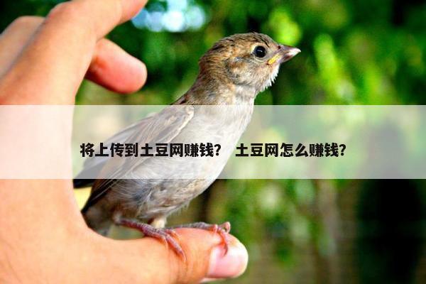将上传到土豆网赚钱？ 土豆网怎么赚钱？