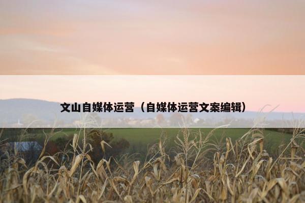 文山自媒体运营（自媒体运营文案编辑）