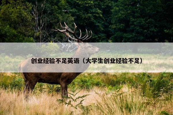 创业经验不足英语（大学生创业经验不足）
