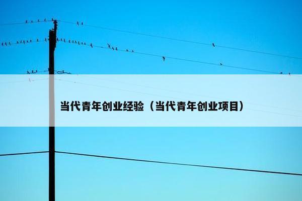 当代青年创业经验（当代青年创业项目）