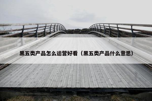 黑五类产品怎么运营好看（黑五类产品什么意思）