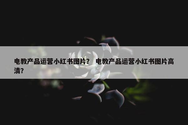 电教产品运营小红书图片? 电教产品运营小红书图片高清? 电教产品运营小红书图片? 电教产品运营小红书图片高清?