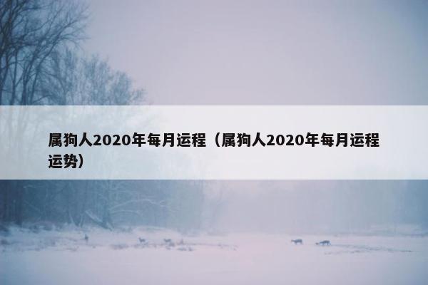 属狗人2020年每月运程（属狗人2020年每月运程运势）