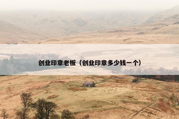创业印章老板（创业印章多少钱一个）