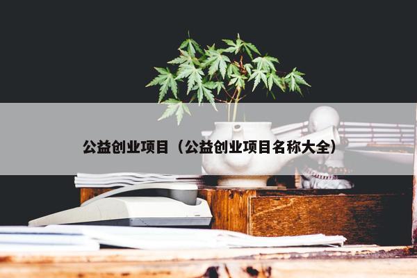 公益创业项目（公益创业项目名称大全）