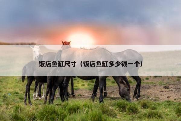 饭店鱼缸尺寸（饭店鱼缸多少钱一个）