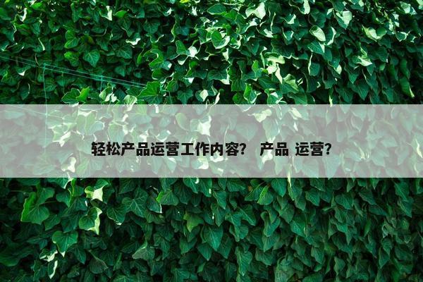 轻松产品运营工作内容？ 产品 运营？