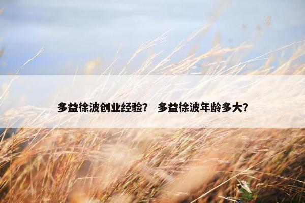 多益徐波创业经验? 多益徐波年龄多大? 多益徐波创业经验? 多益徐波年龄多大?