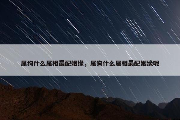 属狗什么属相最配姻缘，属狗什么属相最配姻缘呢