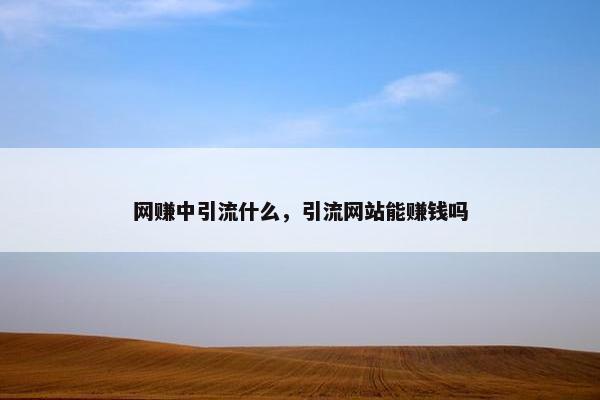 网赚中引流什么，引流网站能赚钱吗