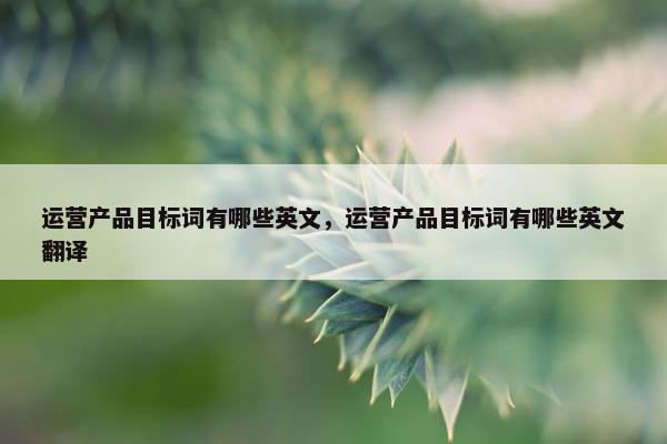 运营产品目标词有哪些英文，运营产品目标词有哪些英文翻译