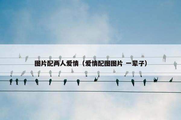图片配两人爱情（爱情配图图片 一辈子）
