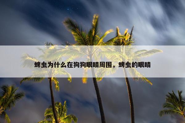 蜱虫为什么在狗狗眼睛周围，蜱虫的眼睛