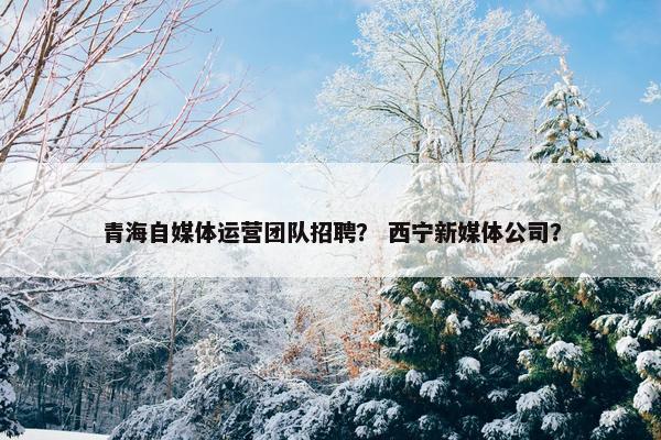 青海自媒体运营团队招聘？ 西宁新媒体公司？