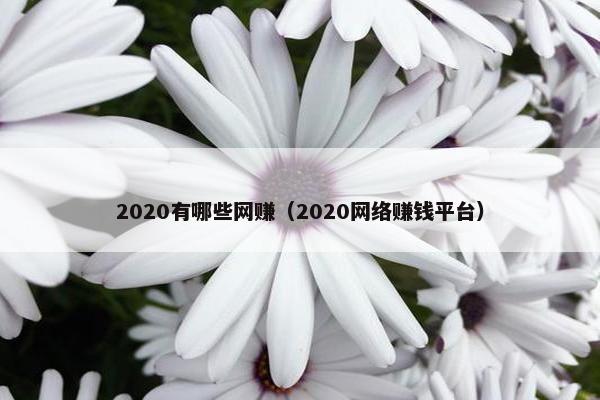2020有哪些网赚（2020网络赚钱平台）