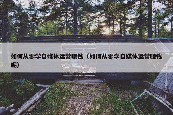 如何从零学自媒体运营赚钱（如何从零学自媒体运营赚钱呢）