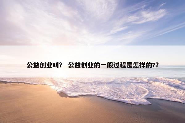 公益创业叫？ 公益创业的一般过程是怎样的?？