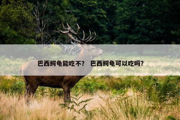 巴西鳄龟能吃不？ 巴西鳄龟可以吃吗？