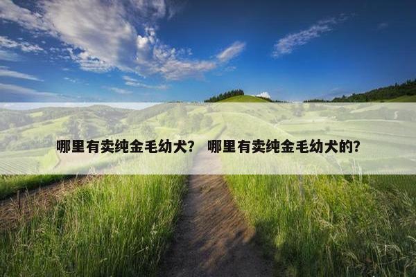 哪里有卖纯金毛幼犬？ 哪里有卖纯金毛幼犬的？