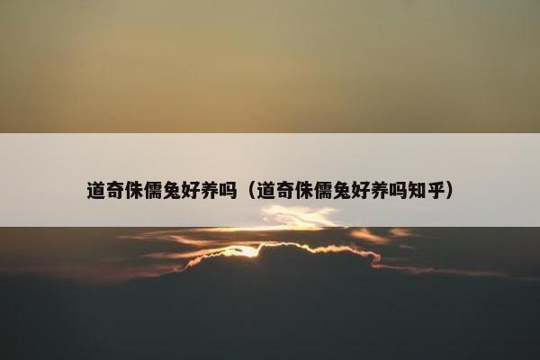 道奇侏儒兔好养吗（道奇侏儒兔好养吗知乎）