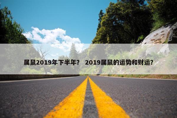 属鼠2019年下半年？ 2019属鼠的运势和财运？