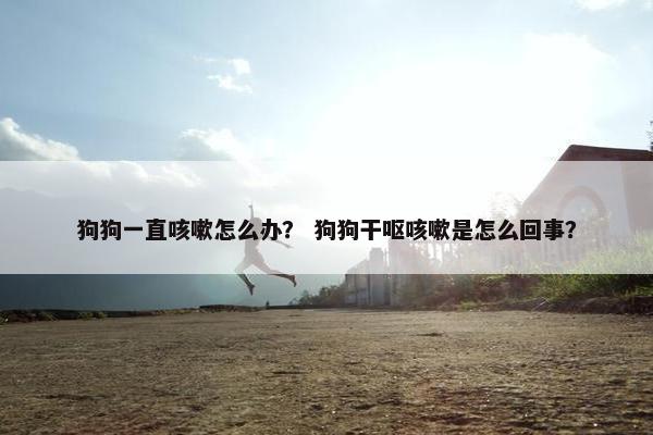 狗狗一直咳嗽怎么办？ 狗狗干呕咳嗽是怎么回事？