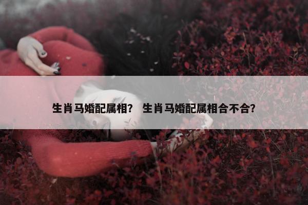 生肖马婚配属相？ 生肖马婚配属相合不合？