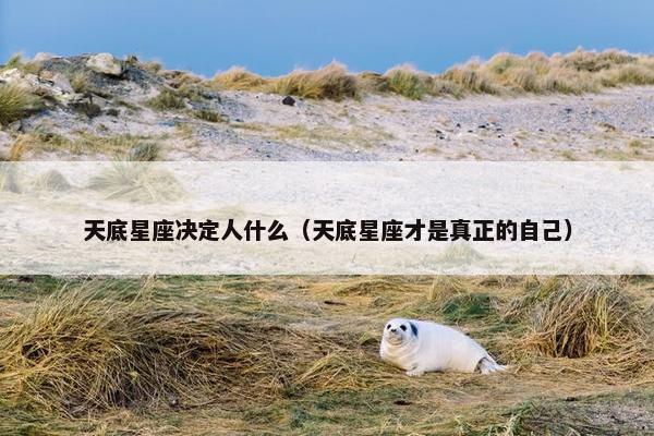 天底星座决定人什么（天底星座才是真正的自己）