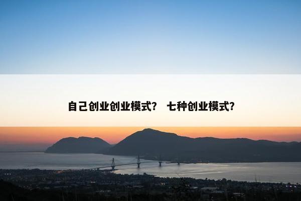 自己创业创业模式？ 七种创业模式？